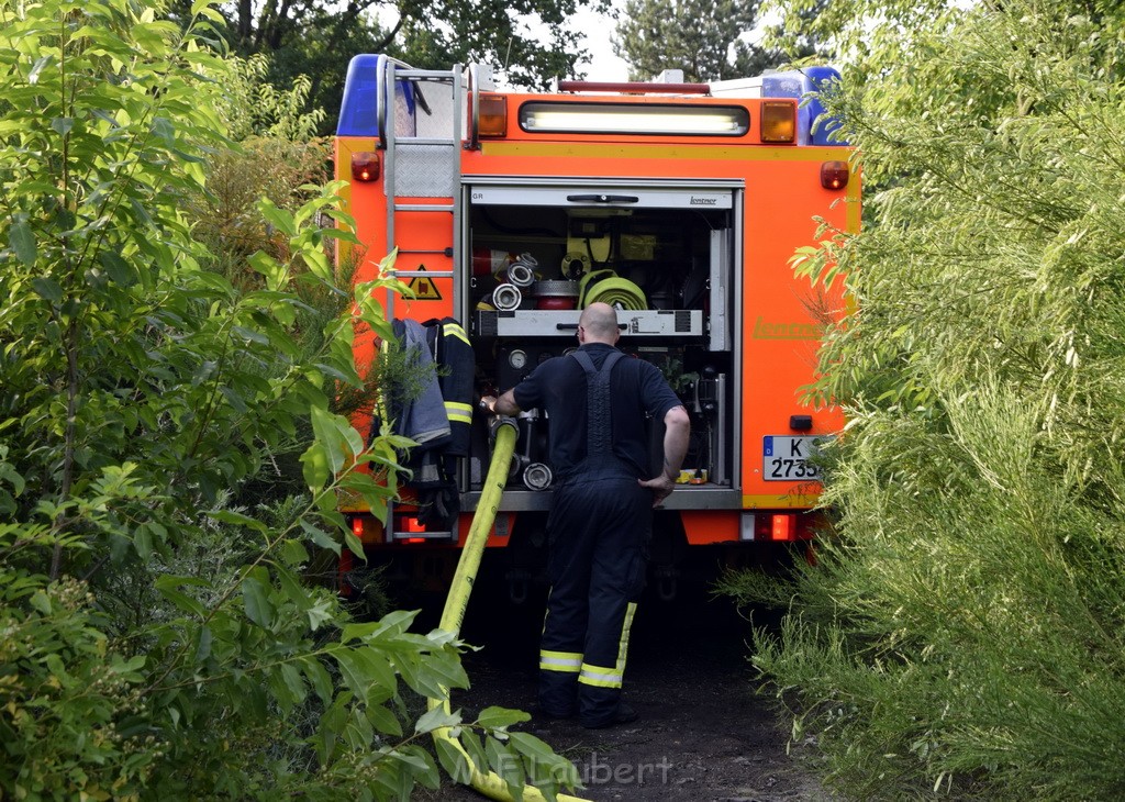 Waldbrand Koeln Hoehenhaus Hoehenfelder Mauspfad P161.JPG - Miklos Laubert